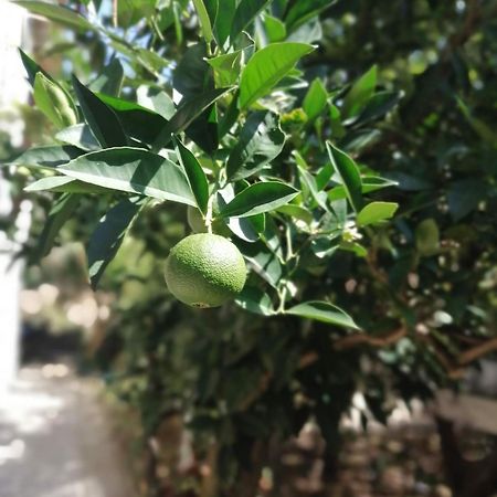 Apartmani Lala 2 Čanj Dış mekan fotoğraf